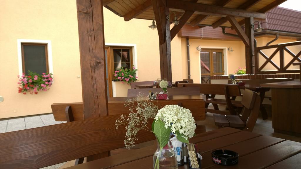 Wellness Penzion Pod Rozhlednou Kostelec nad Orlici Екстер'єр фото