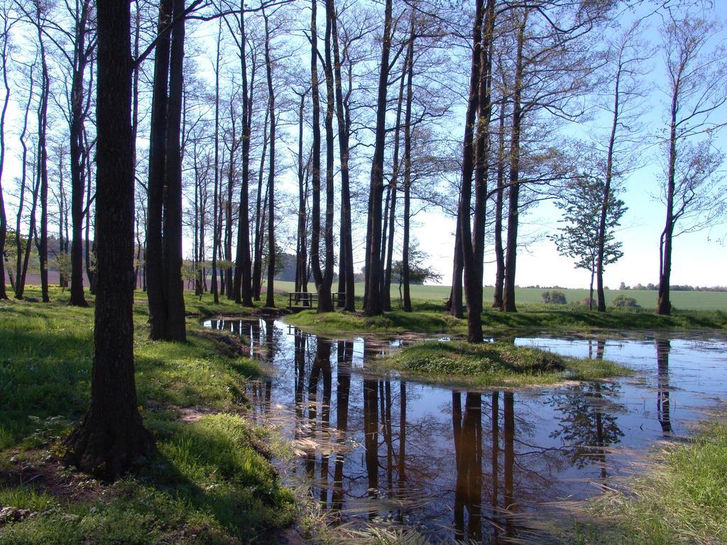 Wellness Penzion Pod Rozhlednou Kostelec nad Orlici Екстер'єр фото
